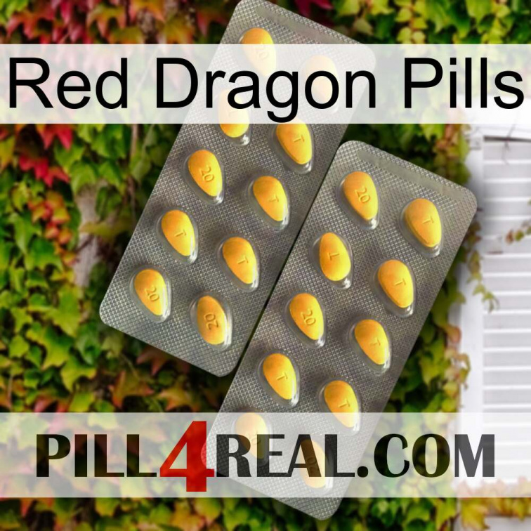 Red Dragon Pills cialis2
